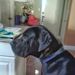 Profile Picture of Allan Anesko (@allananesko) on Pinterest