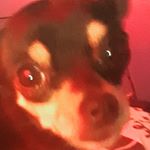 Profile Picture of eric monges (@monges_eric_try_hard) on Instagram