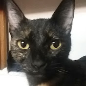 Profile Picture of Ruby Aguilera (@rubyaguilera1115) on Youtube