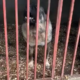 Profile Picture of George Dascultu (@george.dascultu) on Facebook