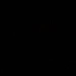 Profile Picture of nick._.hayes (@nick._.hayes) on Instagram