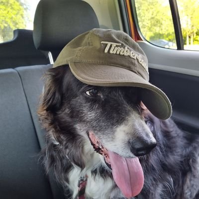 Profile Picture of Marcus Heath (@MarcusH24319336) on Twitter