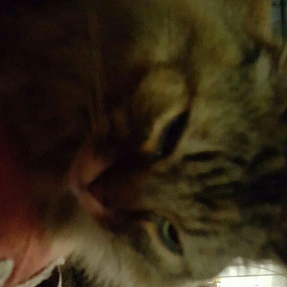 Profile Picture of Cindy Bernier (@cindybernier) on Poshmark