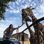 Profile Picture of Rachel Sarubbi (@rachelsarubbi) on Instagram