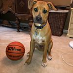 Sophia - Instagram Profile Picture of Sophia (@sophia.mcgrath13) on Instagram