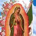 Profile Picture of Nicolasa Jimenez (@nicolasa.jimenez.58) on Facebook