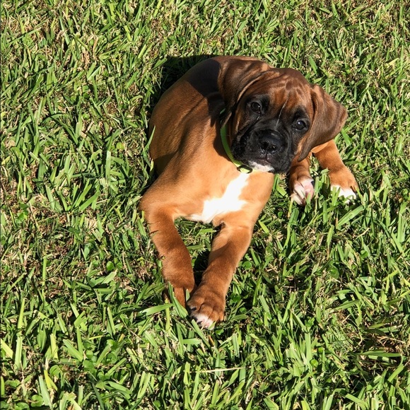 Profile Picture of Mia Terry (@mialanaterry) on Poshmark