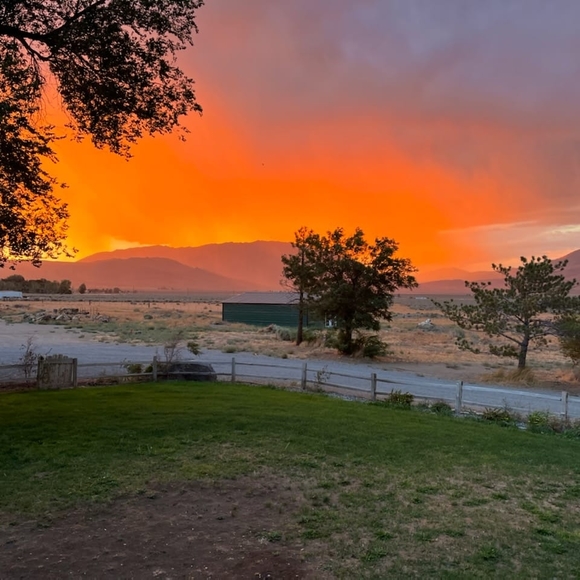 Profile Picture of Sherri Blakeslee (@sherriblakeslee) on Poshmark