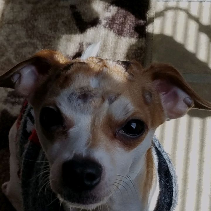 Profile Picture of Harold (@harold_babyboy) on Tiktok
