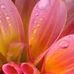 Profile Picture of Renee Renfrow (@renee.renfrow.5) on Facebook