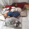 Profile Picture of peterbernhardt747 (@peterbernhardt747) on Tiktok