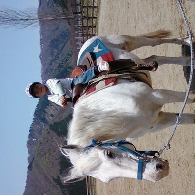 Profile Picture of Shin Hoshikawa (@HoshikawaShin) on Twitter