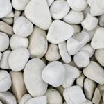 Profile Picture of McKenzie Ryan (@mckenzie.ryan_) on Instagram