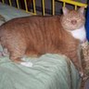 Profile Picture of Tony Wesley (@TonyWesley) on Youtube