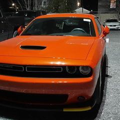 Profile Picture of luctrudel485 (@luctrudel485) on Tiktok