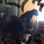 Profile Picture of Bobbie-Jo Alexander (@bobbiejoalexander) on Instagram