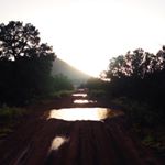 Profile Picture of Cazo (@starbiter) on Instagram