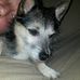 Profile Picture of Tom Stauffer (@tom.stauffer.58) on Facebook