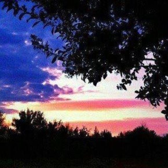 Profile Picture of Joseph William (@josephwillia727) on Poshmark