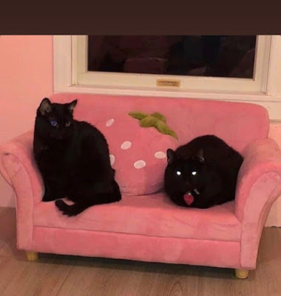 Profile Picture of Hannah Pratka (@hpratka1) on Poshmark