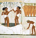 Profile Picture of Human interactions with fungion Wikipedia