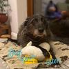 Profile Picture of Heather Wilkin (@@missieh68) on Tiktok