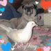Profile Picture of Janet Ring (@janet.ring.9822) on Facebook