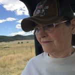 Pam Downing-Rummel - Instagram Profile Picture of Pam Downing-Rummel (@pam_downing_rummel) on Instagram