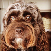 Profile Picture of Lee Applegarth (@leeboyApple) on Youtube