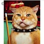 Profile Picture of 12 As by July?? (@ginger_memorial_page) on Instagram