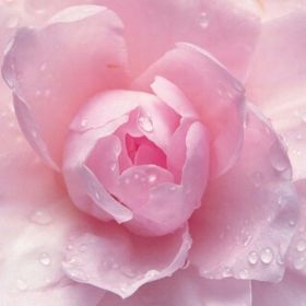 Profile Picture of Robin Counts (@RobinLinda66) on Pinterest