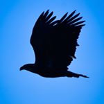 Profile Picture of Brian Long (@brianlong2767) on Instagram