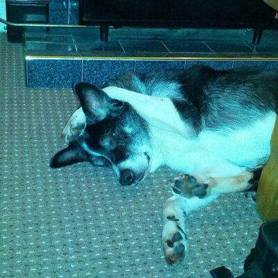 Profile Picture of Brian Leigh (@brianleigh88) on Twitter