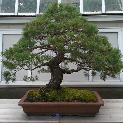 Profile Picture of Bob Rager (@roberterager3) on Twitter