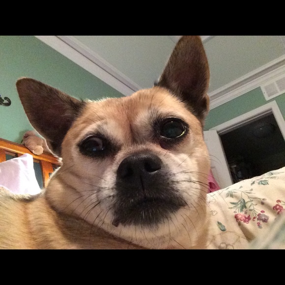 Profile Picture of Tammy Opperman (@tammyopp) on Poshmark