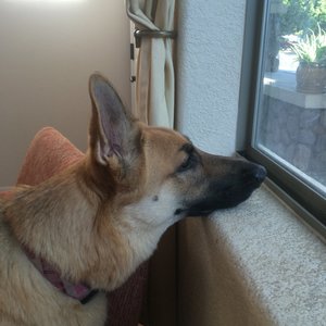 Profile Picture of Carl Forstrom (@cforstrom) on Myspace