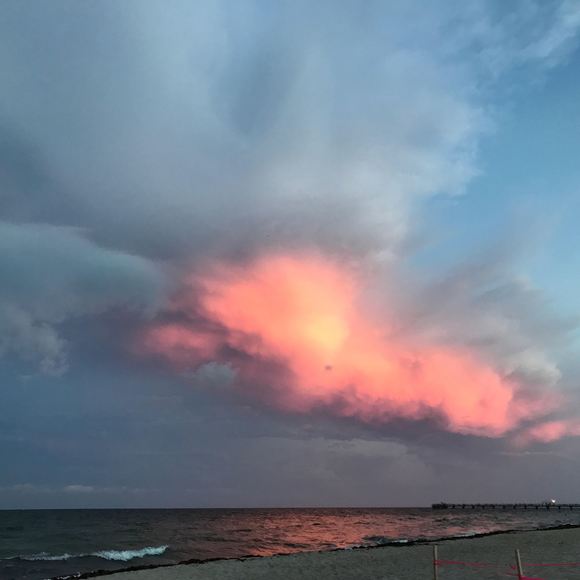 Profile Picture of Theresa Irizarry (@tfrex30) on Poshmark