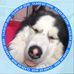 Profile Picture of Jessica Cwiklinski (@jessica.cwiklinski.98) on Facebook