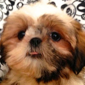 Profile Picture of Kim Basso (@kimbasso) on Youtube