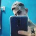 Profile Picture of Froylan Martinez (@Froylan48100883) on Twitter