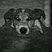 Profile Picture of Lance Neal (@lance.neal.946) on Facebook