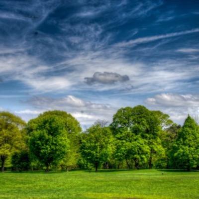 Profile Picture of K (@kim_mulvey) on Twitter
