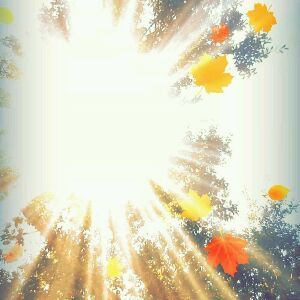 Profile Picture of Muna Abdalla (@munaabdalla) on Tiktok