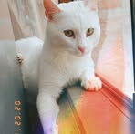 Profile Picture of Daniela Mendoza Pfuro (@daniela.mendoza.pfuro) on Facebook