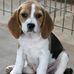 Profile Picture of Sharon Goulet (@sharon.goulet.14) on Facebook