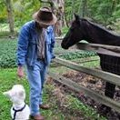 Profile Picture of William Evarts (@changeshorses) on Pinterest