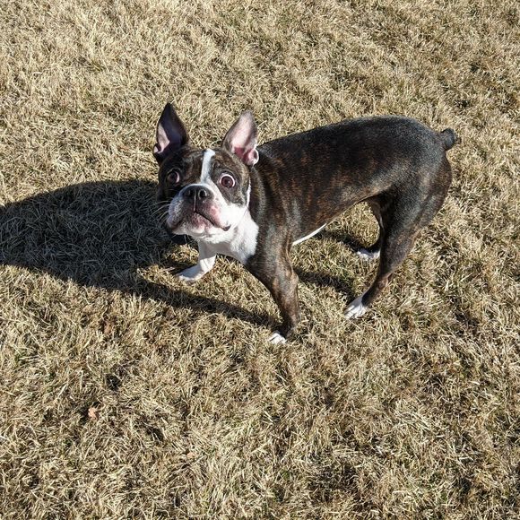 Nick Rivers - Poshmark Profile Picture of Nick Rivers (@nickrivers119) on Poshmark