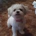 Profile Picture of Larry Matlock (@larry.matlock.5095) on Facebook