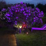 John Taylor - Instagram Profile Picture of John Taylor (@sharisarroa241) on Instagram