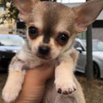 Profile Picture of Nico Sanchez (@nicoosanchezzz) on Instagram